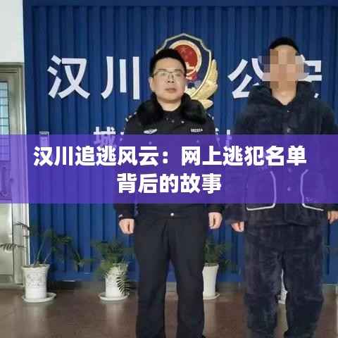 汉川追逃风云:网上逃犯名单背后的故事