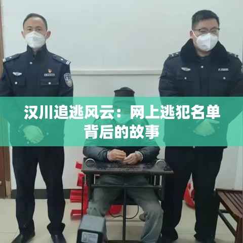 汉川追逃风云:网上逃犯名单背后的故事