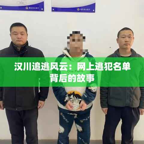 汉川追逃风云:网上逃犯名单背后的故事
