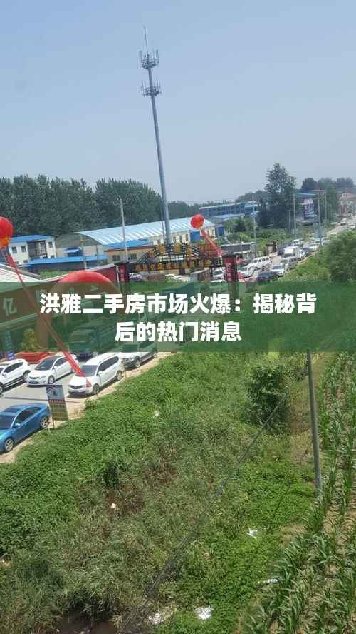 洪雅二手房市场火爆:揭秘背后的热门消息