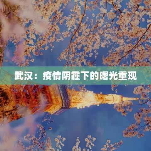 武汉:疫情阴霾下的曙光重现