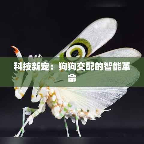 科技新宠：狗狗交配的智能革命
