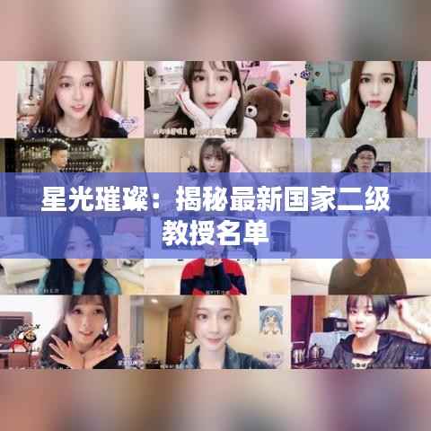 星光璀璨:揭秘最新国家二级教授名单