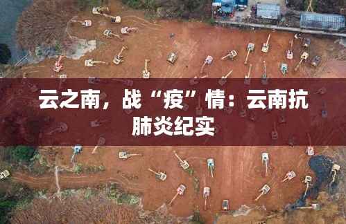 云之南，战“疫”情：云南抗肺炎纪实