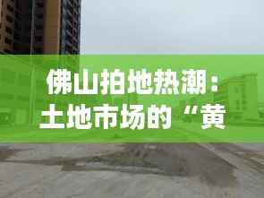 佛山拍地热潮:土地市场的“黄金盛宴”