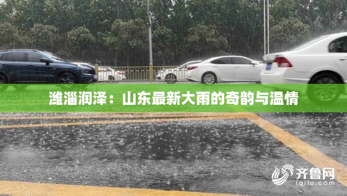 潍淄润泽:山东最新大雨的奇韵与温情