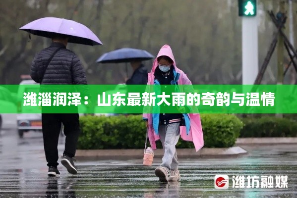 潍淄润泽:山东最新大雨的奇韵与温情