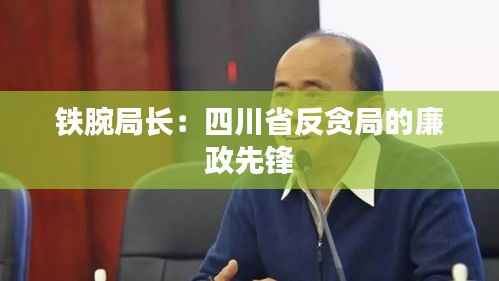 铁腕局长:四川省反贪局的廉政先锋