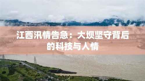 新闻资讯 第606页