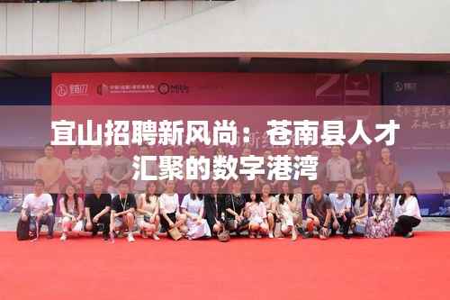 宜山招聘新风尚:苍南县人才汇聚的数字港湾