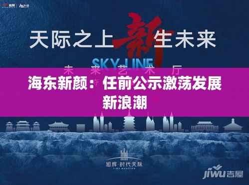 海东新颜:任前公示激荡发展新浪潮