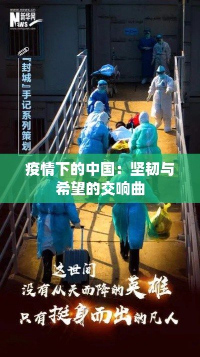 新闻资讯 第604页