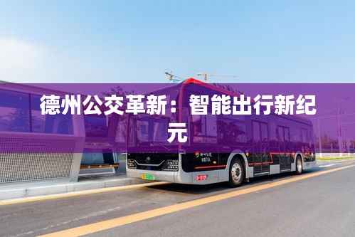 德州公交革新:智能出行新纪元