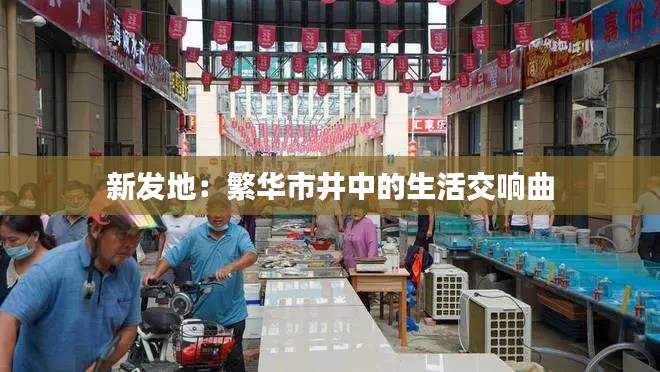 新发地:繁华市井中的生活交响曲