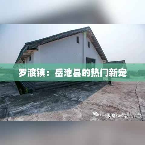 罗渡镇:岳池县的热门新宠