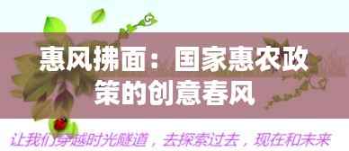 惠风拂面:国家惠农政策的创意春风