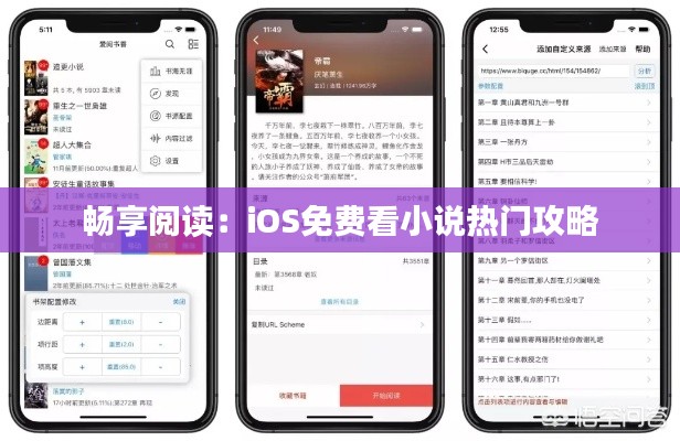 畅享阅读:iOS免费看小说热门攻略