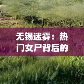 无锡迷雾：热门女尸背后的城市暗流