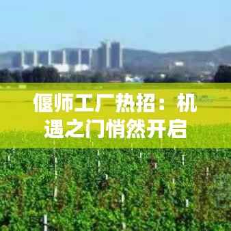 偃师工厂热招:机遇之门悄然开启