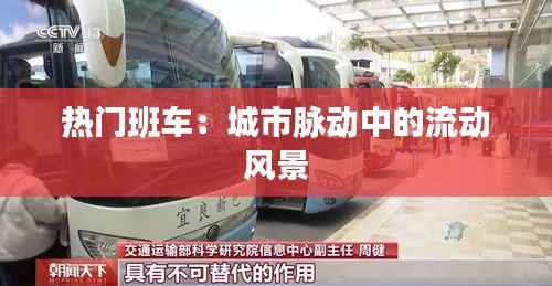 热门班车：城市脉动中的流动风景