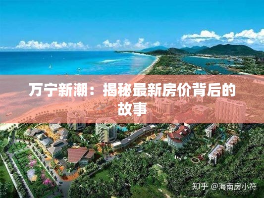 万宁新潮:揭秘最新房价背后的故事