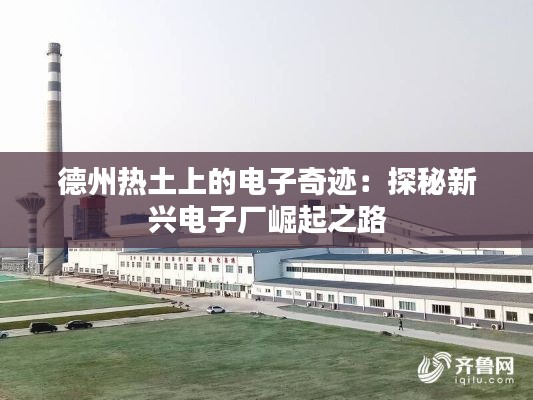德州热土上的电子奇迹:探秘新兴电子厂崛起之路