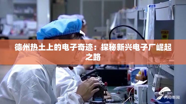 德州热土上的电子奇迹:探秘新兴电子厂崛起之路