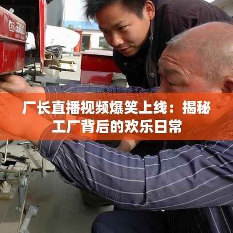 厂长直播视频爆笑上线：揭秘工厂背后的欢乐日常