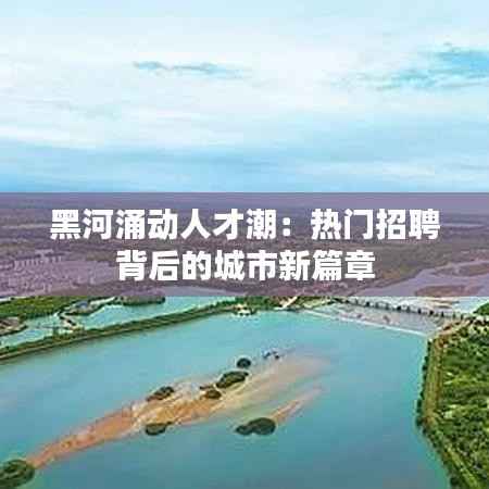 黑河涌动人才潮:热门招聘背后的城市新篇章