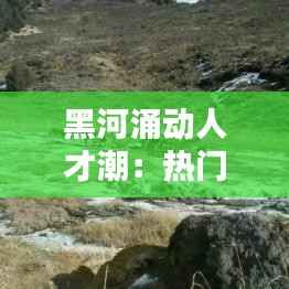 黑河涌动人才潮:热门招聘背后的城市新篇章