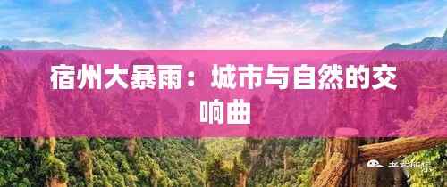 宿州大暴雨:城市与自然的交响曲