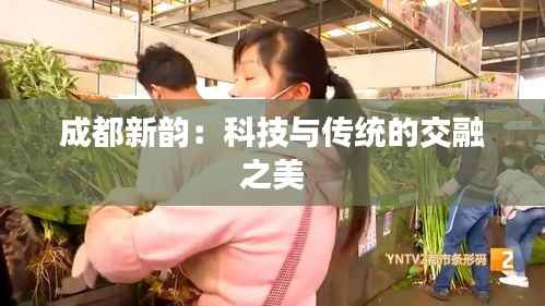 成都新韵：科技与传统的交融之美
