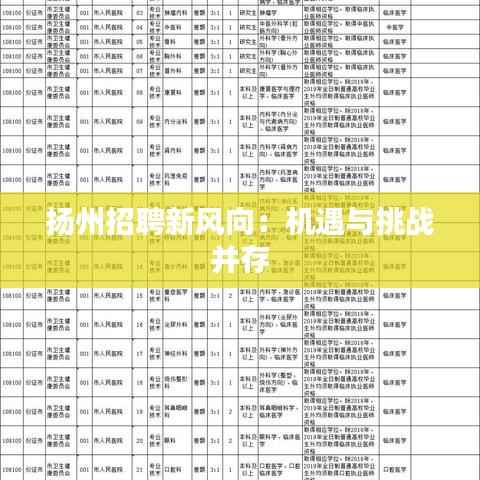 扬州招聘新风向:机遇与挑战并存