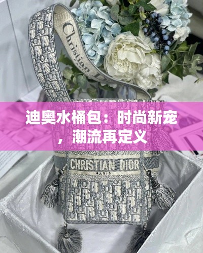 迪奥水桶包:时尚新宠,潮流再定义