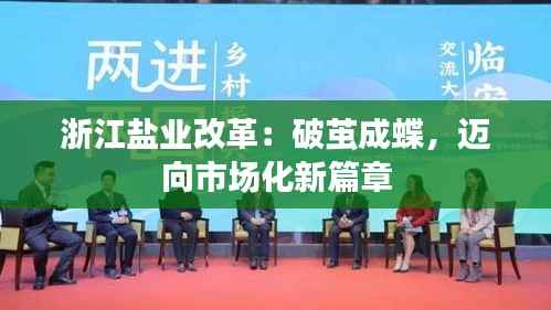 浙江盐业改革:破茧成蝶,迈向市场化新篇章