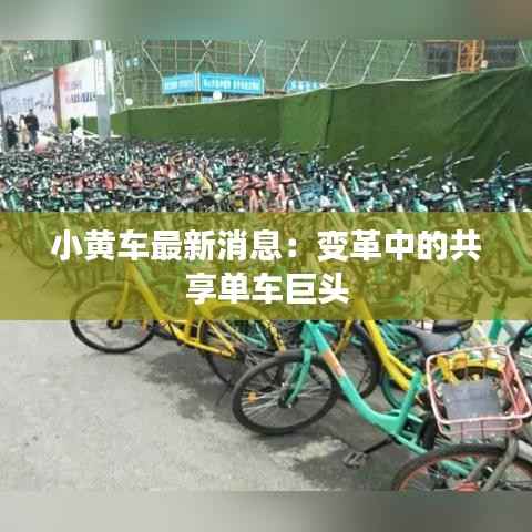 小黄车最新消息：变革中的共享单车巨头