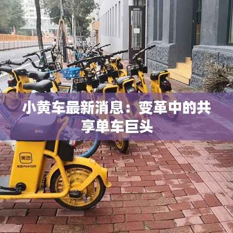 小黄车最新消息:变革中的共享单车巨头