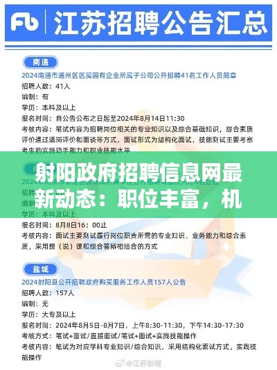射阳政府招聘信息网最新动态:职位丰富,机遇无限