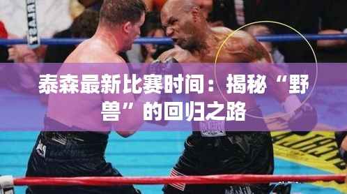 泰森最新比赛时间:揭秘“野兽”的回归之路