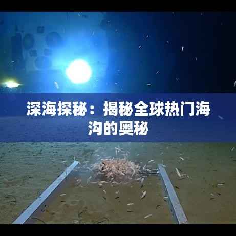 深海探秘:揭秘全球热门海沟的奥秘