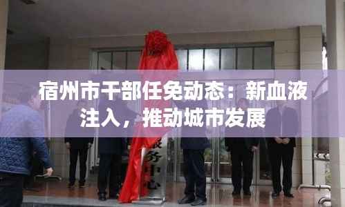 资质荣誉 第195页