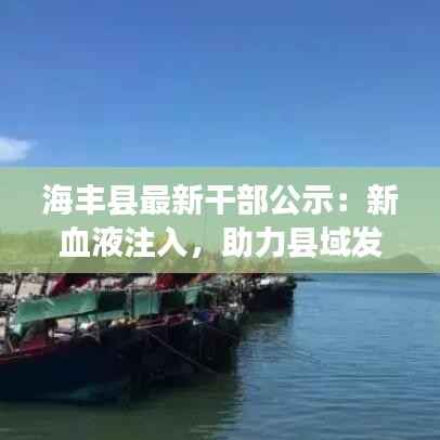 海丰县最新干部公示:新血液注入,助力县域发展