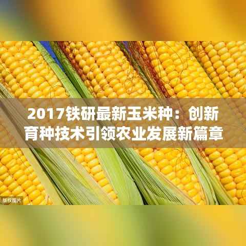 2017铁研最新玉米种：创新育种技术引领农业发展新篇章