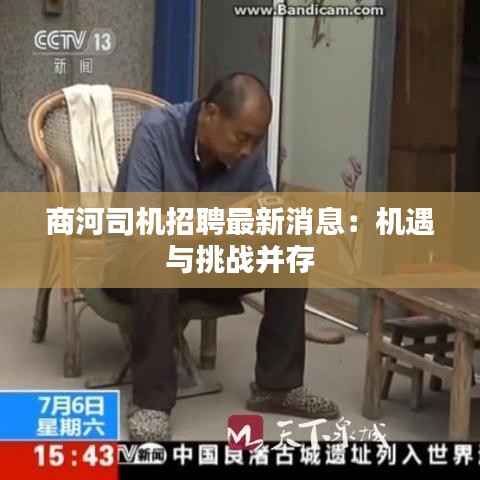 商河司机招聘最新消息：机遇与挑战并存