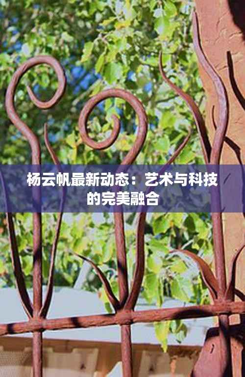 杨云帆最新动态:艺术与科技的完美融合