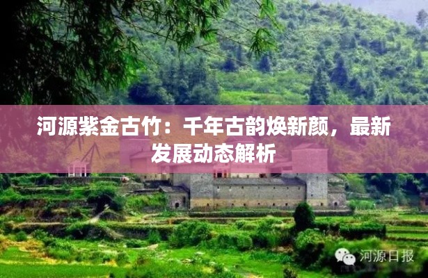 河源紫金古竹:千年古韵焕新颜,最新发展动态解析