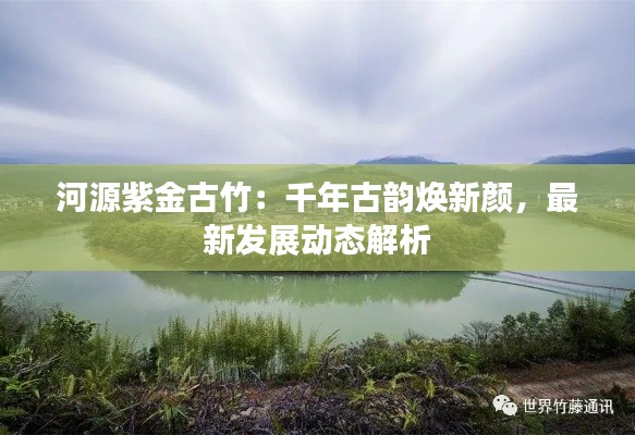 河源紫金古竹:千年古韵焕新颜,最新发展动态解析
