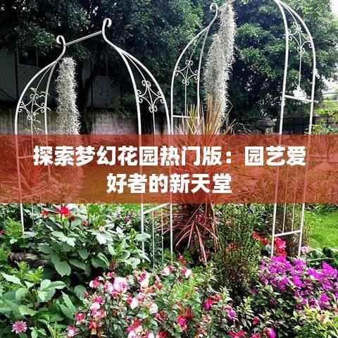 探索梦幻花园热门版：园艺爱好者的新天堂