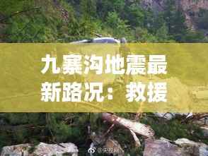 九寨沟地震最新路况:救援通道逐步恢复,游客出行需谨慎