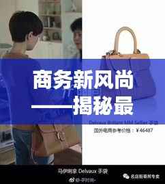 商务新风尚——揭秘最新商务包的五大亮点